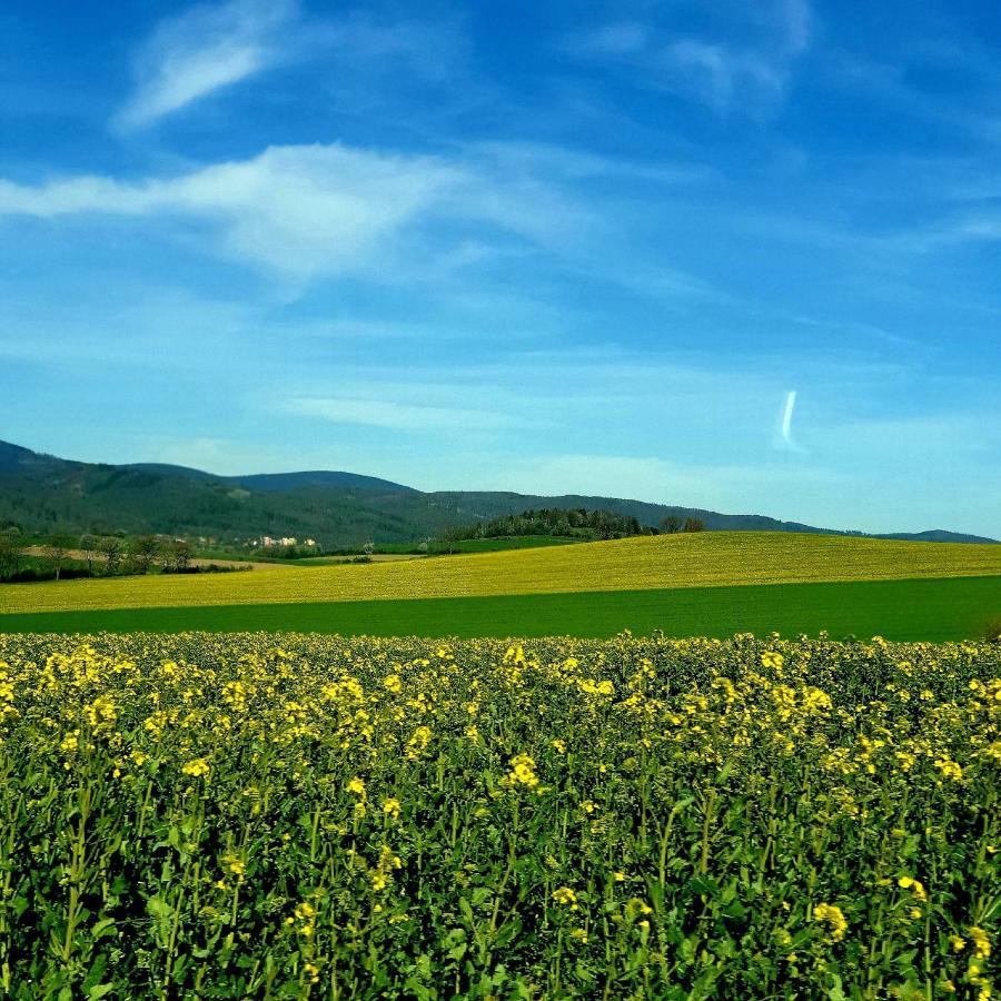 Agroturystyka Sielska Kraina Zabkowice Slaskie Luaran gambar