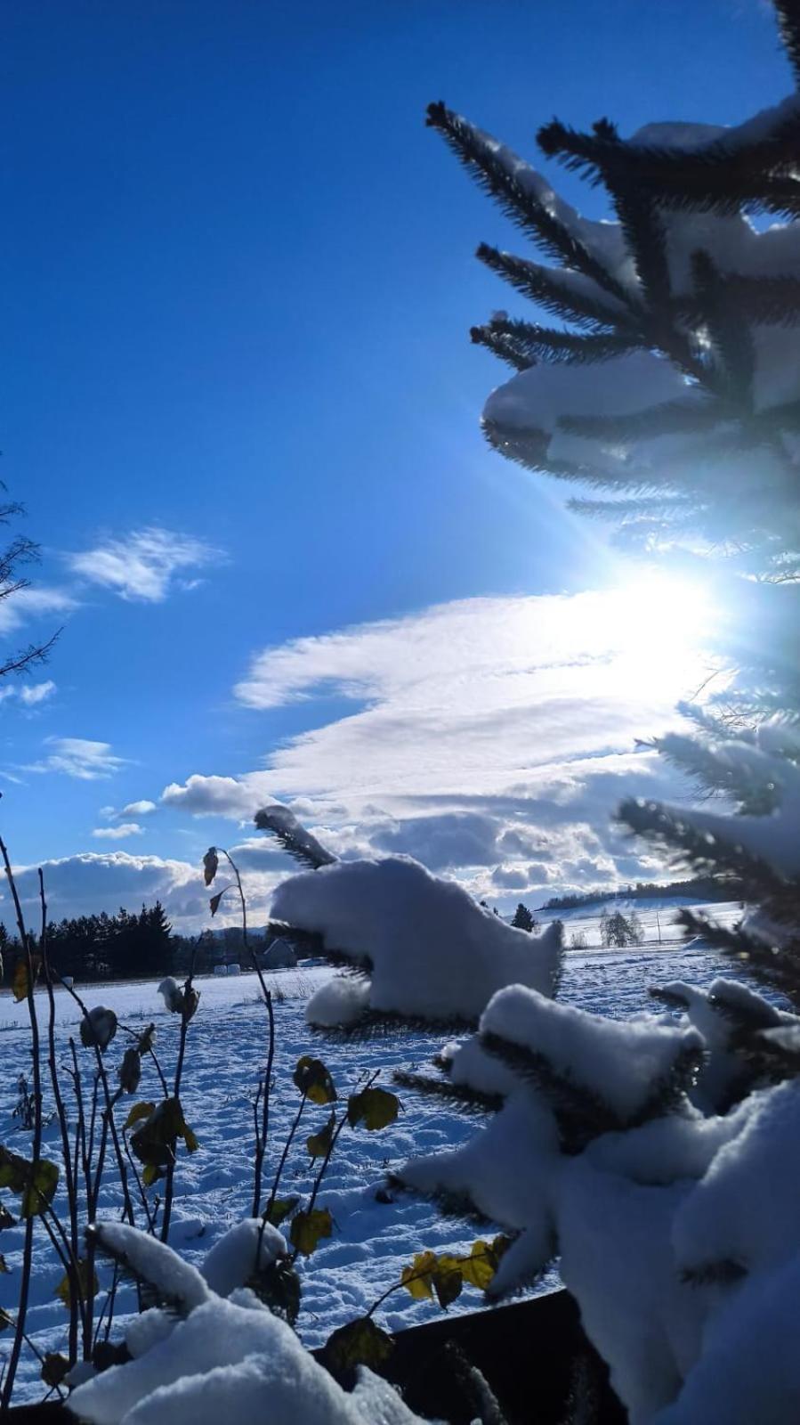 Agroturystyka Sielska Kraina Zabkowice Slaskie Luaran gambar